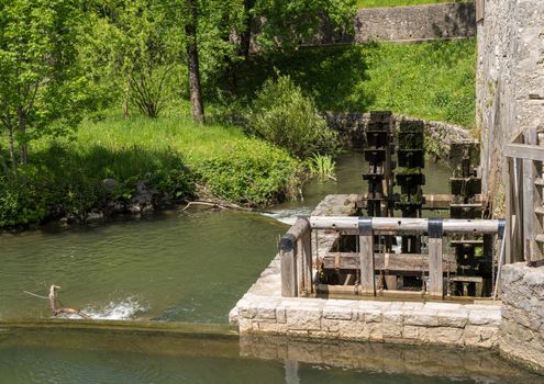 Water wheel in the park by Postojnska Jama in Slovenia
