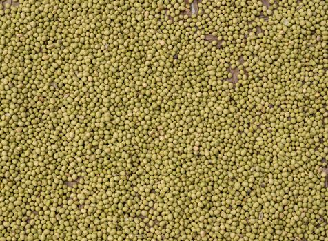 Large basket of green split peas drying inside Tulou in Fujian Province in China
