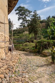 Tea plantations around Tulou at Unesco heritage site near Xiamen