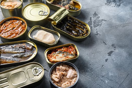 Conserves of canned fish with different types of fish and seafood, opened and closed cans with Saury, mackerel, sprats, sardines, pilchard, squid, tuna, over grey stone surface, side view space for text.