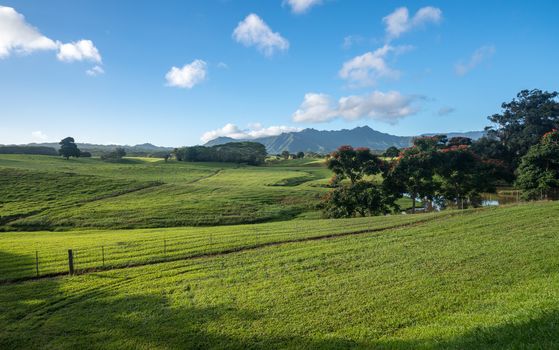 Flowering trees frame view of the Na Pali mountains over fairy tale landscape of Kauai