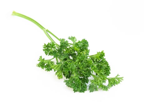 Parsley vegetable isolated on white background