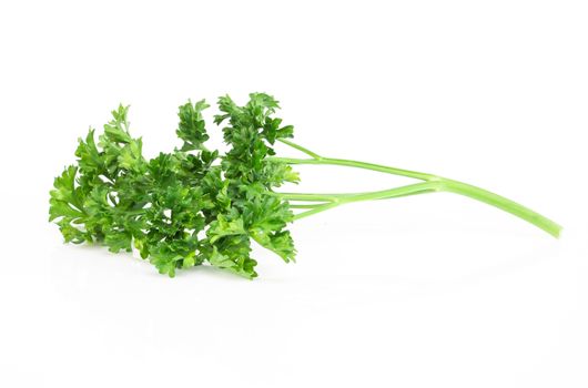 Parsley vegetable isolated on white background