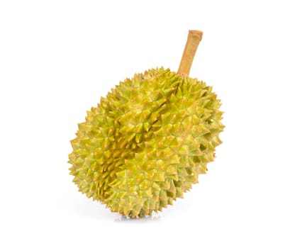 Durian tropical fruit isolated on white background