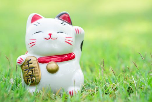 Maneki neko on green grass with sun light in the morning, select focus