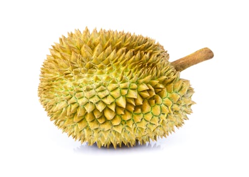 Durian tropical fruit isolated on white background