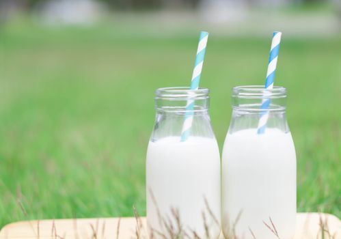 Closeup glass bottle of milk on green grass nature background, food healthy concept