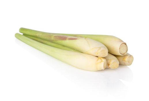 Lemon grass isolated on white background, herb and medical concept