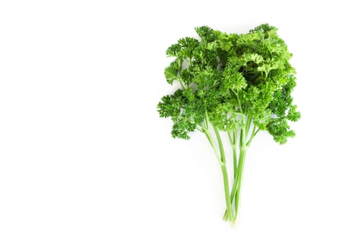 Parsley vegetable isolated on white background