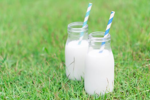 Closeup glass bottle of milk on green grass nature background, food healthy concept