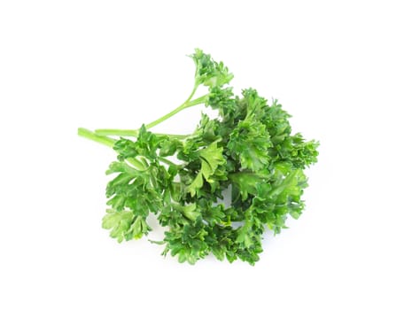 Parsley vegetable isolated on white background