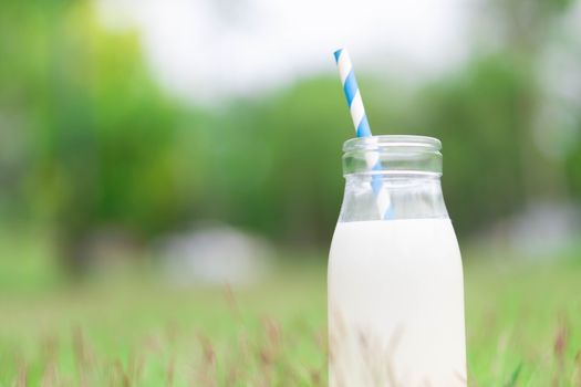 Closeup glass bottle of milk on green grass nature background, food healthy concept