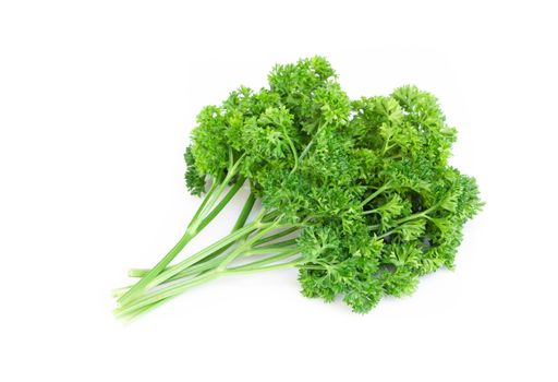 Parsley vegetable isolated on white background