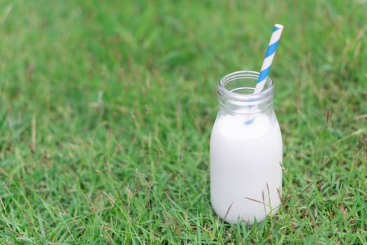 Closeup glass bottle of milk on green grass nature background, food healthy concept