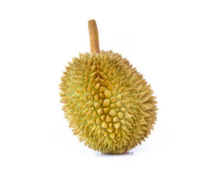 Durian tropical fruit isolated on white background