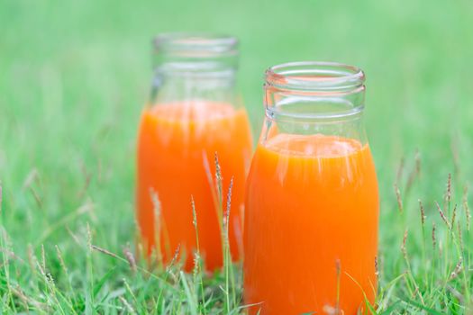 Closeup glass bottle of orange juice fruit on green grass nature background, food healthy concept