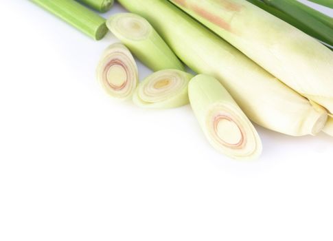 Lemon grass with slice isolated on white background, herb and medical concept