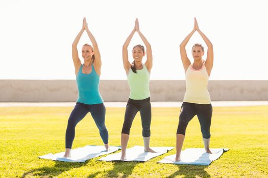 Smiling sporty women doing yoga on exercise mats in parkland