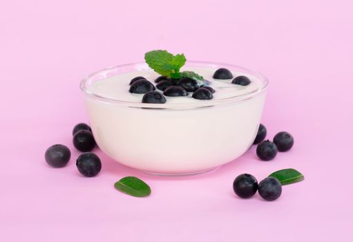 Close up yogurt with fresh blueberries  fruit in glass bowl  on pink backgroun