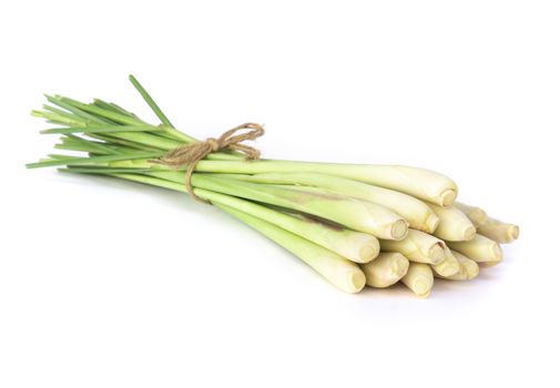 Lemon grass isolated on white background, herb and medical concept