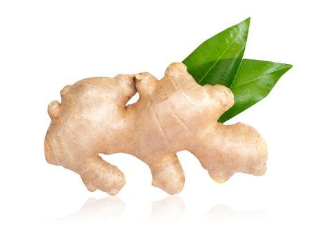 Fresh ginger root with sliced islolated on white background for herb and medical product concept