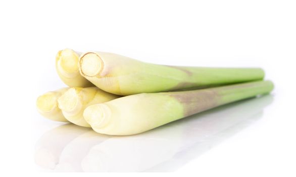 Lemon grass isolated on white background, herb and medical concept