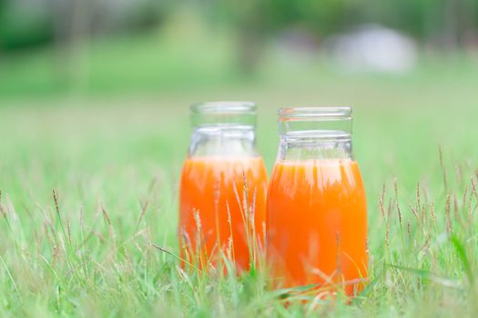 Closeup glass bottle of orange juice fruit on green grass nature background, food healthy concept