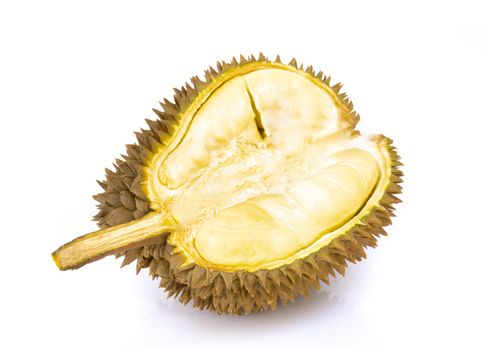 Durian tropical fruit isolated on white background