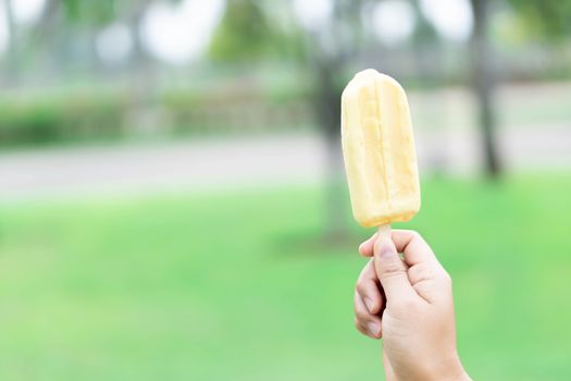 Woman hand holding ice cream  with nature garden background