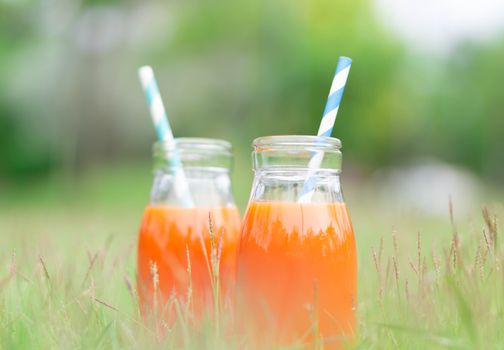 Closeup glass bottle of orange juice fruit on green grass nature background, food healthy concept