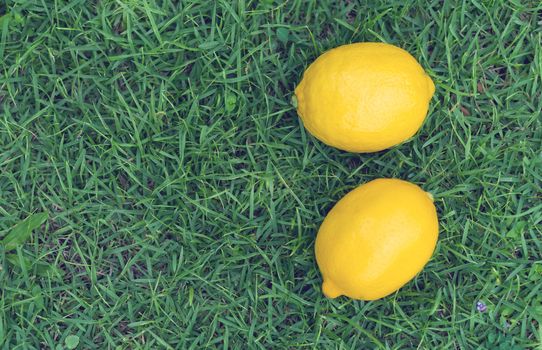 Closeup fresh lemon fruit on green grass background, selective focus
