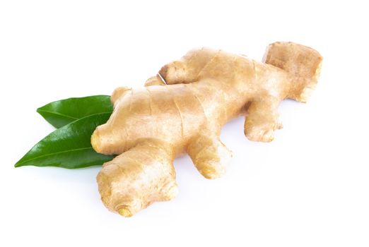 Fresh ginger root with sliced islolated on white background for herb and medical product concept