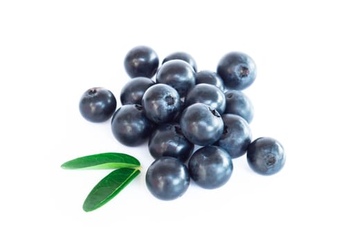 Fresh blueberries with green leaves isolated on white background