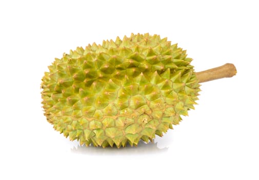 Durian tropical fruit isolated on white background