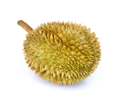 Durian tropical fruit isolated on white background