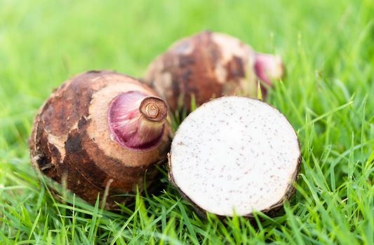 Close up taro root with sliced on green grass