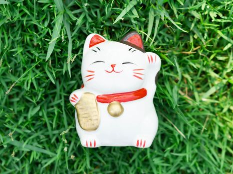 Maneki neko on green grass with sun light in the morning, select focus
