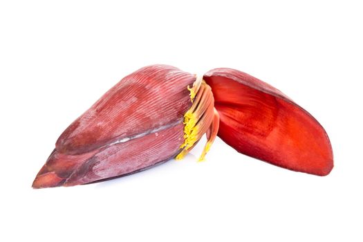 Fresh banana blossom isolated on white background, Healthy concept