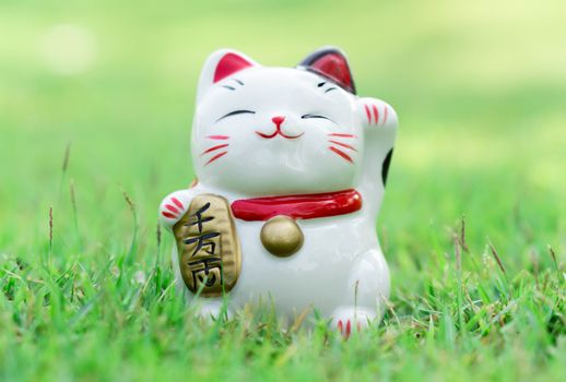 Maneki neko on green grass with sun light in the morning, select focus