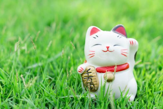 Maneki neko on green grass with sun light in the morning, select focus