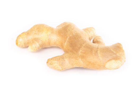 Fresh ginger root with sliced islolated on white background for herb and medical product concept