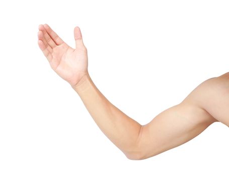 Man arm with blood veins on white background, health care and medical concept