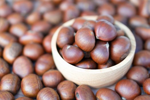 Closeup horse chestnuts in wood bowl isolated on white background,  healthy food concept