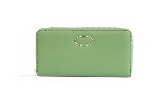 Closeup modern green woman wallet fashion on white background