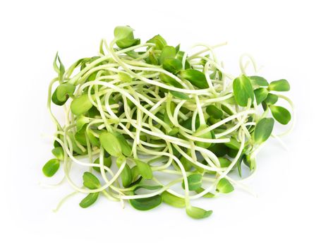 Sunflower sprouts isolated on white backgroud, healthy concept