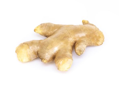 Fresh ginger root  islolated on white background for herb and medical product concept