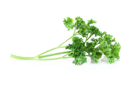 Parsley vegetable isolated on white background