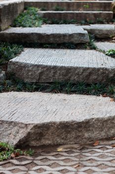 The step path in the garden, stock photo