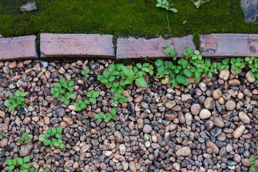 Pebble stones and bricks abstract background, stock photo