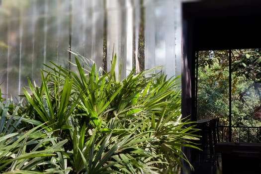 Garden decorated in coffee shop, stock photo